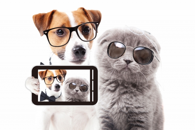 眼鏡の犬とサングラスのネコ